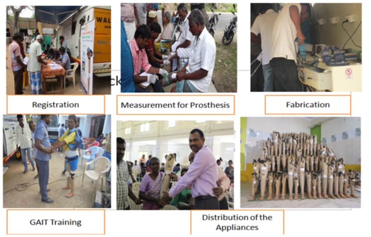 Freedom Trust Activity 20